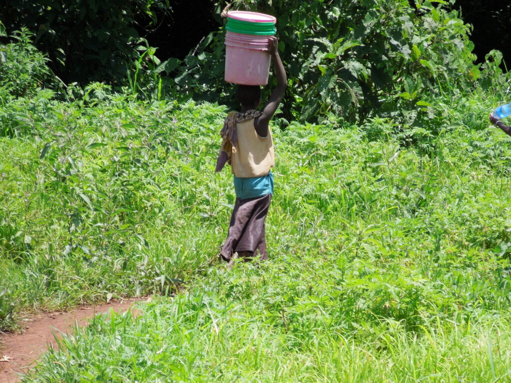 Woman walking through green landscape, carrying empty buckets on her head