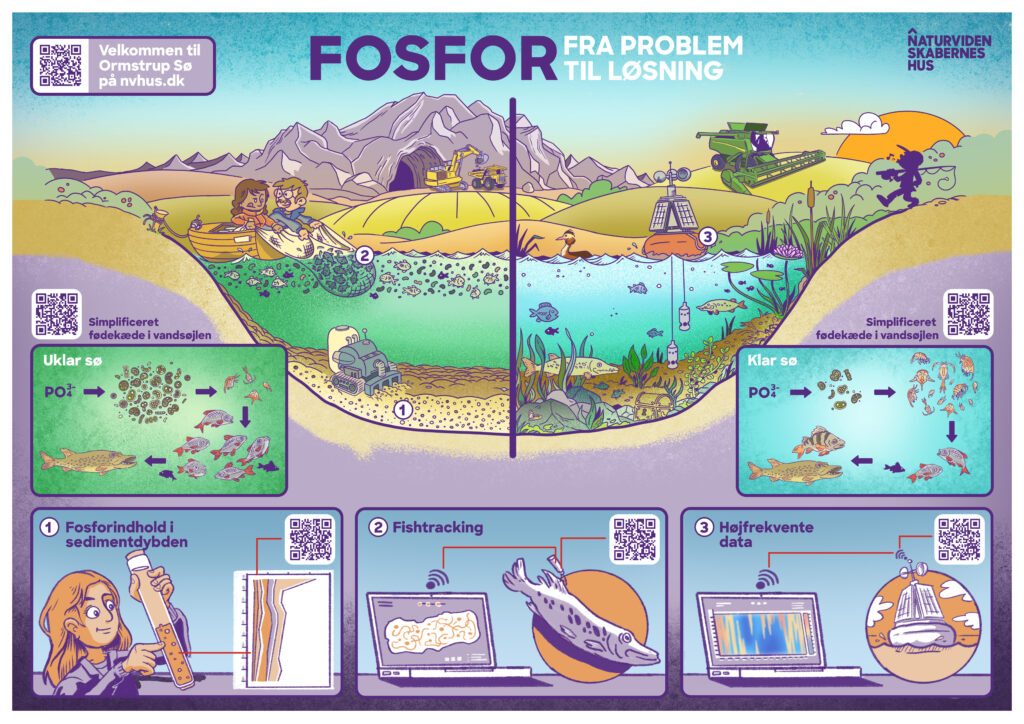 Fosfor - fra problem til løsning