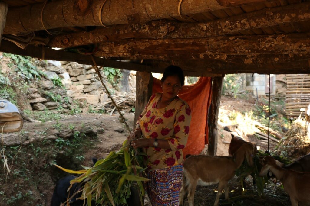 Binda Magararthi feeding her animals. 