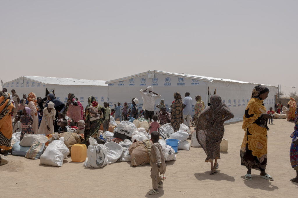 facilitates coordination among humanitarian partners to deliver timely aid and avoid protection gaps.